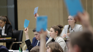 Foto: Stimmkarten im Plenum Foto: Stimmkarten im Plenum